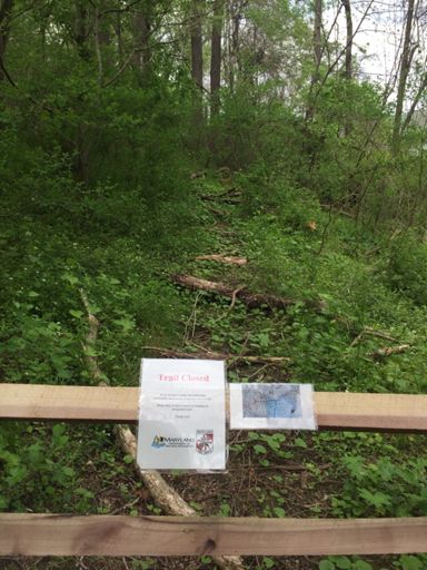 That used to be the best downhill in the whole park:(