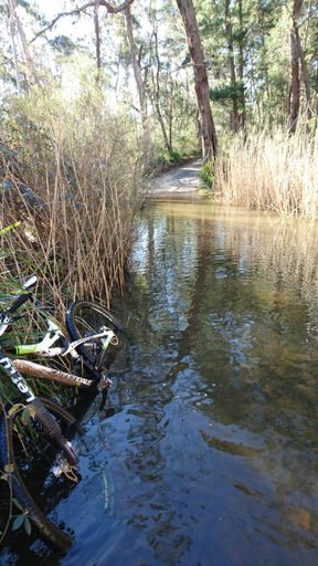 Too deep and rocky to ride