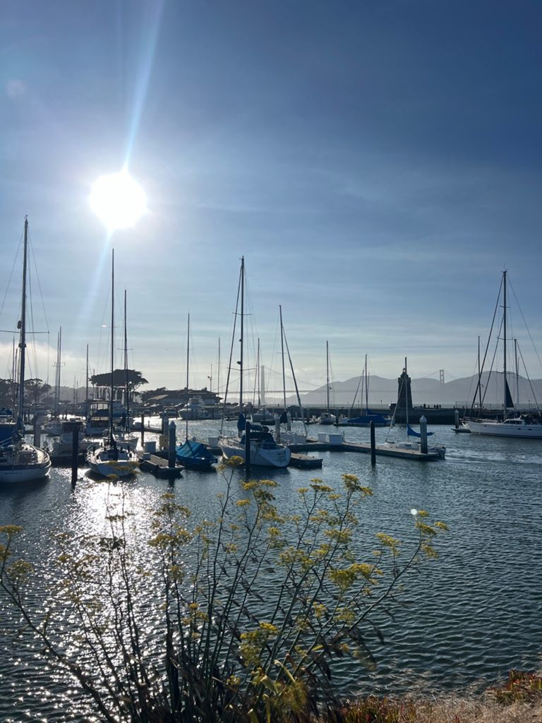 Butterlap (Presidio & Golden Gate Park)的照片 179