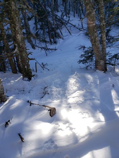 When you've been breaking trail for 3 miles and finally re-join the packed trail...