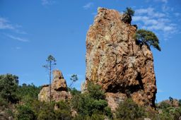 VTT dan l’Estérel