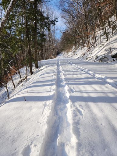 The path up Sawyer River Rd broken out by the two guys in front of me and some walkers who went up to the washout and back.
