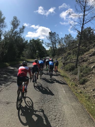 Like a Metal Song, It always starts so pretty 🤘