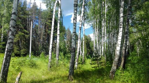 Осталось только направление, но ехать можно. Рядом святой источник и купель
