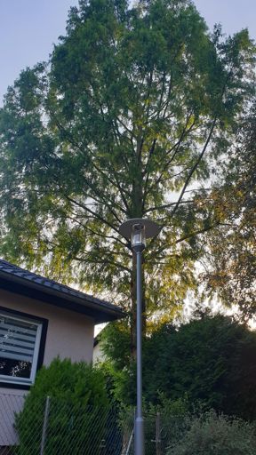 Kriftel_ID_22751_UM_Robert-Schuman-Ring 55B