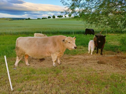 Ohoh, Papa passt auf. 😳 Abstand halten!