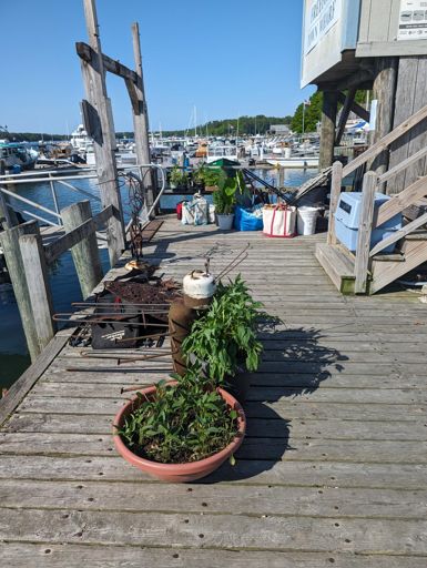 Some interesting luggage headed for Bustins.