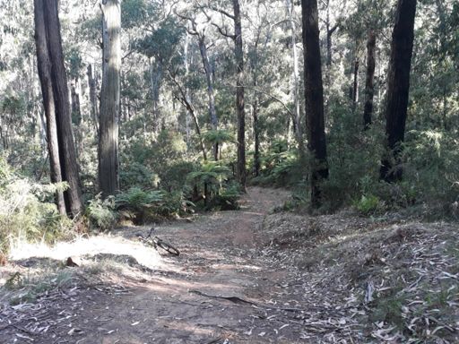 This photo angle looks completely lame. The trail is super steep.