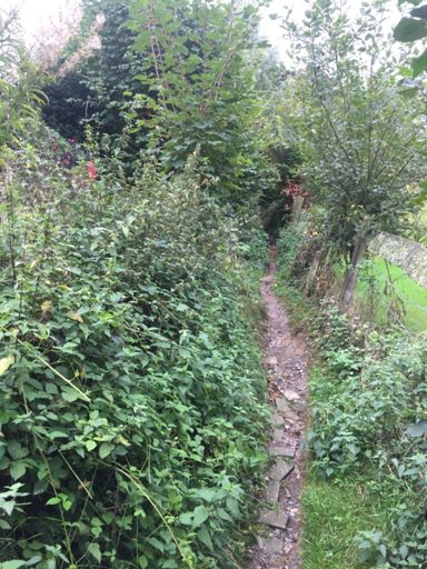 Da stand, die Route sei fürs Rennrad geeignet 😭😤