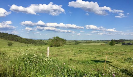 Un peu de chaleur, ça fait du bien 🤣