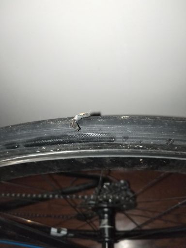 Tried to plug a massive hole, but she just wouldn't take. Rip.