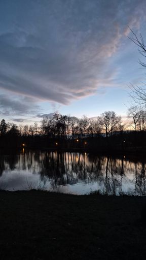 Stadtparkteich Plauen
