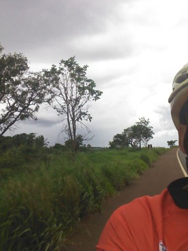 Logo dp da Naveslândia !!