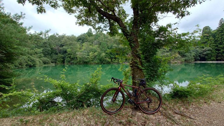 相変わらず綺麗な緑の大洞池