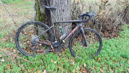 Specialized diverge sport carbon for test