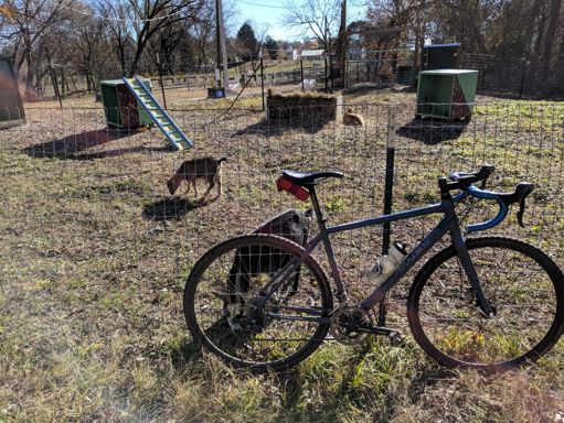 The Gillie Goats are excited for some cross racing this weekend