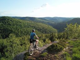 VTT todlaine