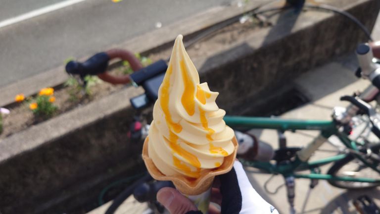 三ケ日みかん🍊のソフトクリーム、コレ食べたかったんだよな～ 