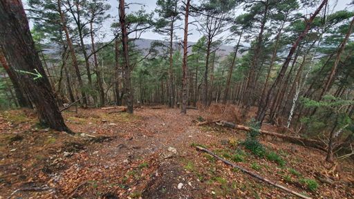 Komoot hat wieder die "besten" Wege rausgesucht...