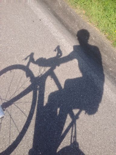 Mijn fietsmaatje, alleen de laatste week...