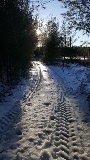 Approaching marsh on way back