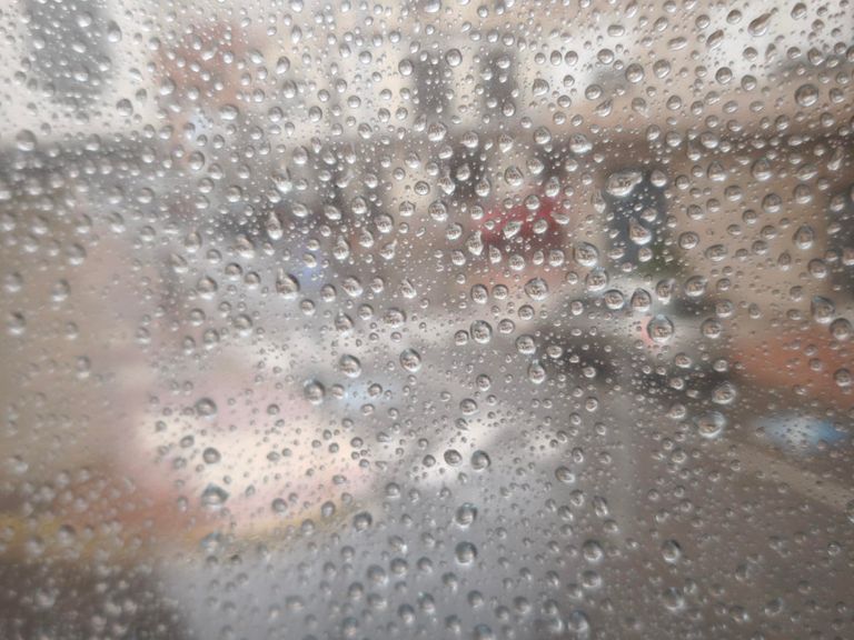 Bajo techo 🌧️🌧️