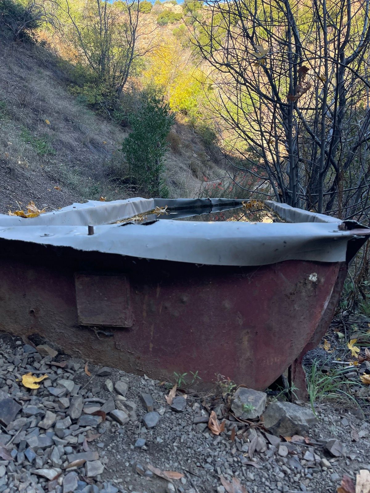 Angelica Carranza Strava Runner Profile