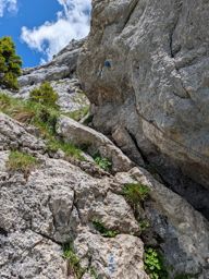 Chöpfenberg Tierberg