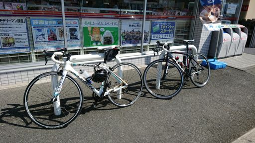 さあ、頑張りましょう！