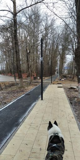 Чего-то делают. Качество увидим после зимы)