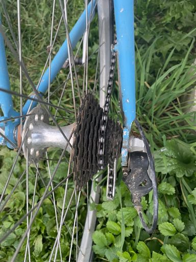 Currently my only available sprocket. It’s a goodun