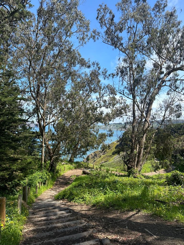 Butterlap (Presidio & Golden Gate Park)的照片 103