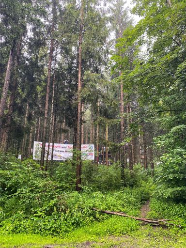 Helden! Activisten hebben zich hier verschanst tegen bomenkap omwille van een snelweg