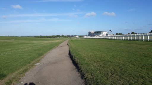 View from the start line
