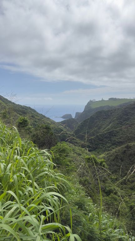 Sunny Day and Waterfalls