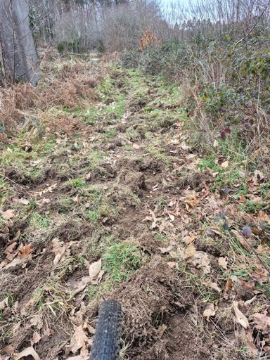 Du travail de cochon