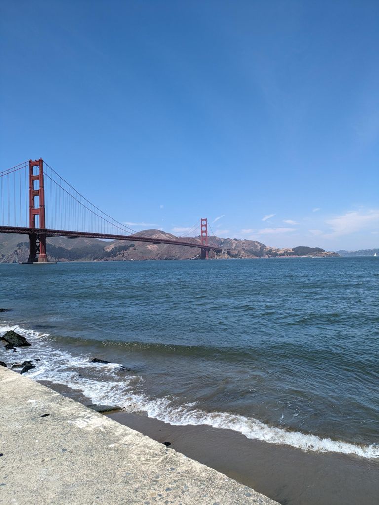 Butterlap (Presidio & Golden Gate Park) photo 138