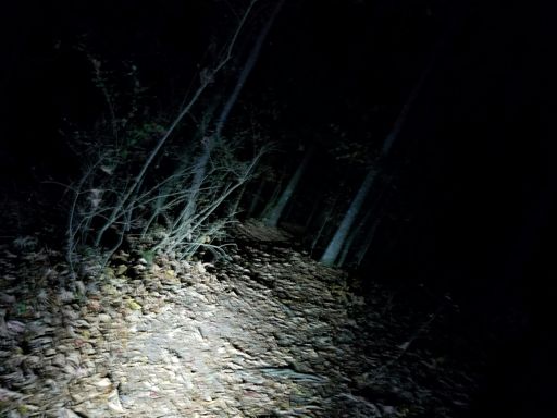 One last trail to get home.