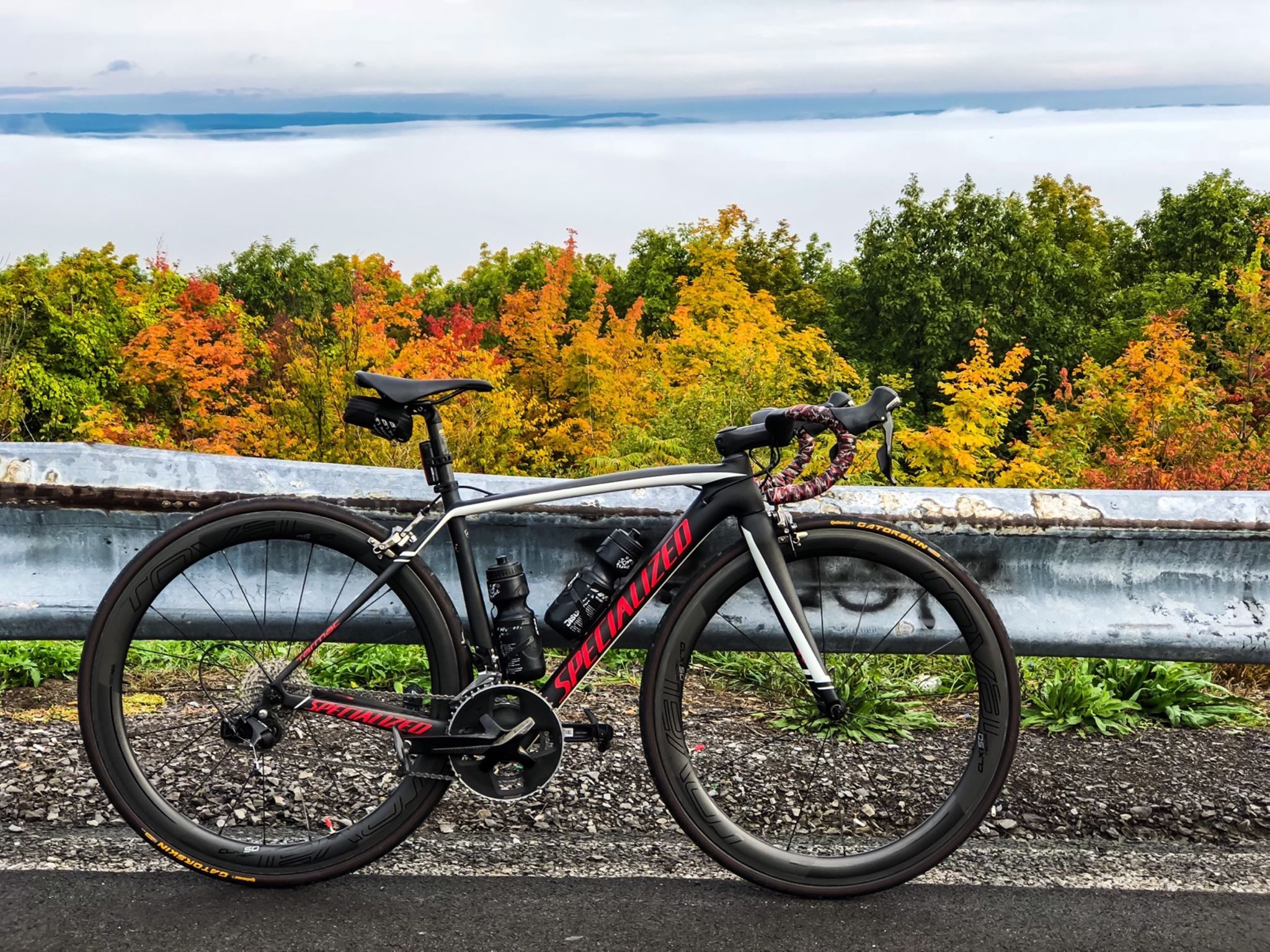 strava 自行车手个人资料 | carlo f.