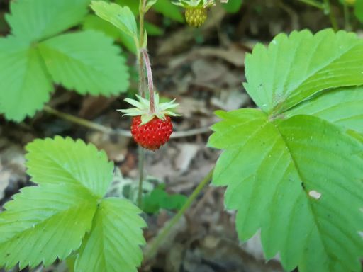 вистинска награда за трудот