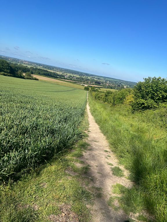 route-highlight