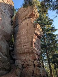 Tour dans forêt de Taintrux avant la séance d’escalade