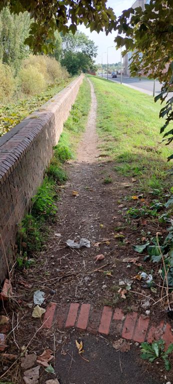 The rugged very narrow "Route 65" track  we avoided by cycling on the main road into Selby.
