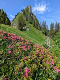 Crêtes au dessus du Schwarzsee : Fochsenflue et Chörblispitz