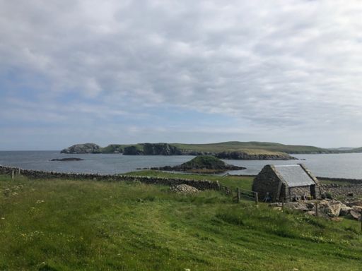 Gletness nesting area