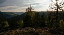 Sortie à vélo le soir