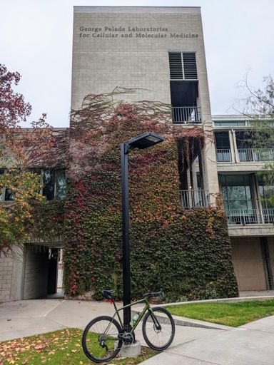 Back to the lab. Spent 6 years in this building.