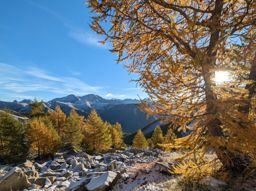 Tête de l’Estrop depuis la Foux d’Allos