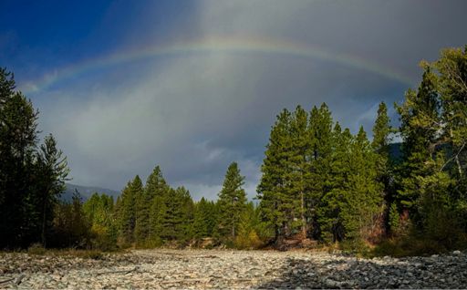 Brief rainbow. A minute later it was gone.