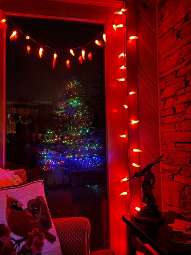 Reflecting on a good last year